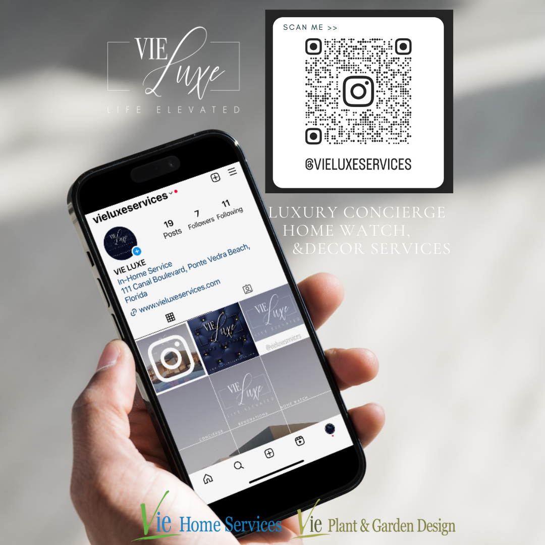 VIE Luxe social media presentation